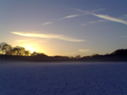 Ice field