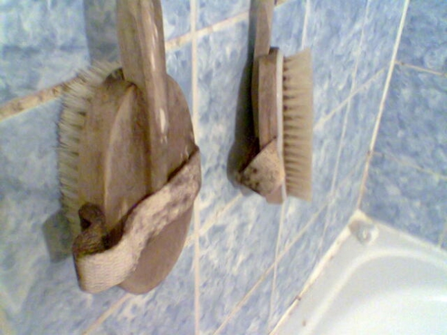 Rotten Brushes, in a flat share