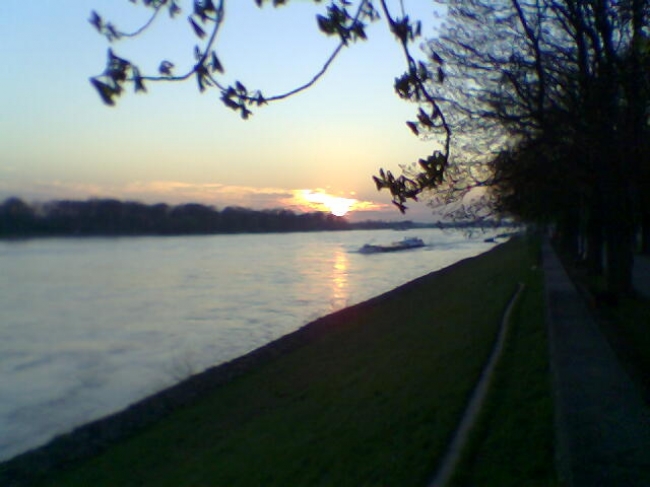 Sonnenuntergang am Rhein, Düsseldorf