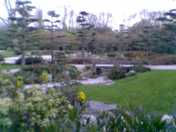 Japanischer Garten