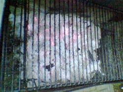 Grillen, Kohle