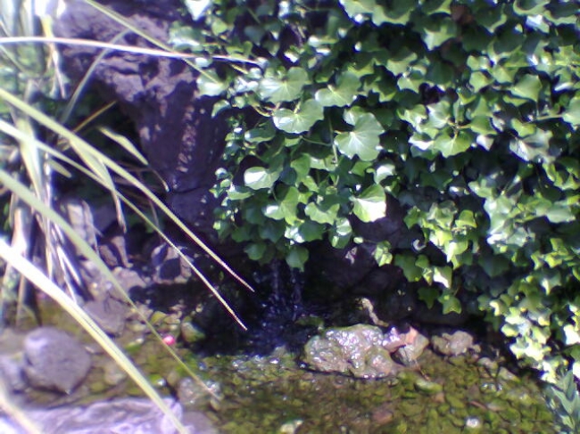 Brunnen, Phantasialand, Köln-Brühl