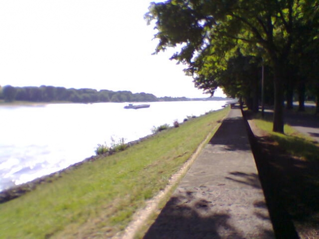 Der Rhein bei Düsseldorf Golzheim, 