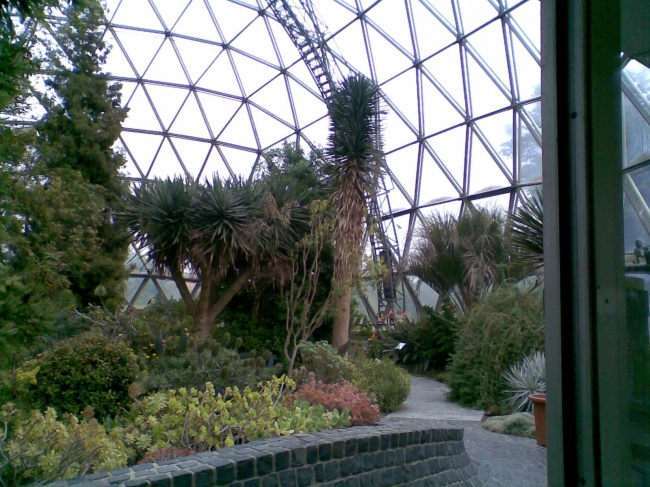 Buckminster Fuller geodesic dome at the Botanischer Garten Düsseldorf, 