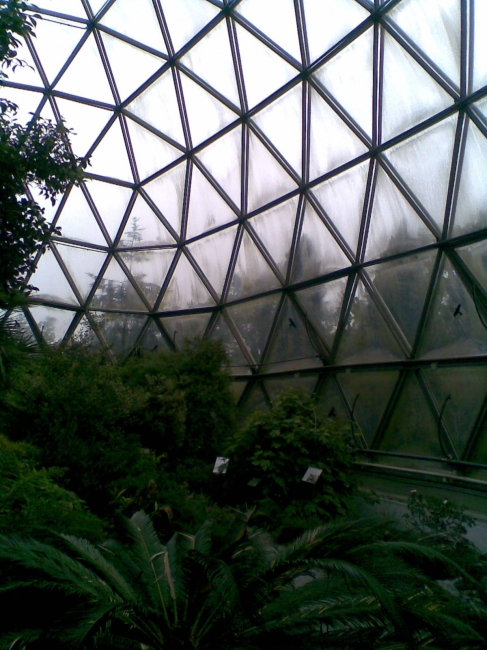 Buckminster Fuller geodesic dome at the Botanischer Garten Düsseldorf, 