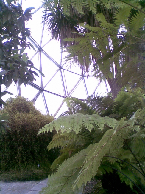 Buckminster Fuller geodesic dome at the Botanischer Garten Düsseldorf, 