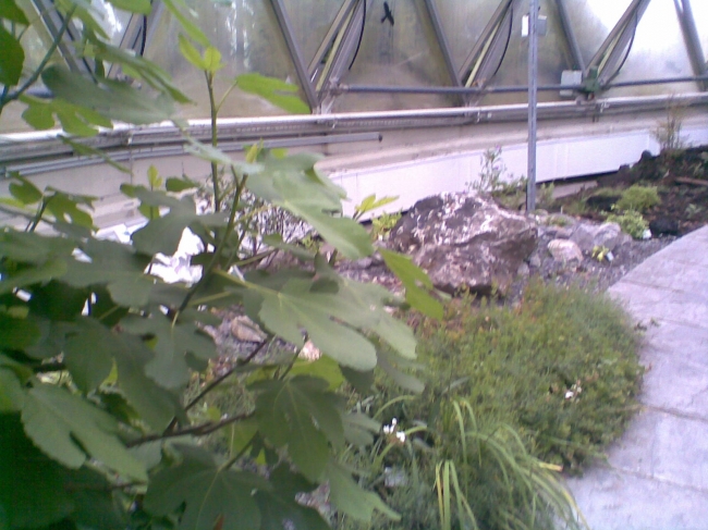 Buckminster Fuller geodesic dome at the Botanischer Garten Düsseldorf, side rail detail