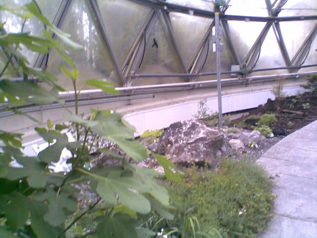 Buckminster Fuller geodesic dome at the Botanischer Garten Düsseldorf, side rail detail