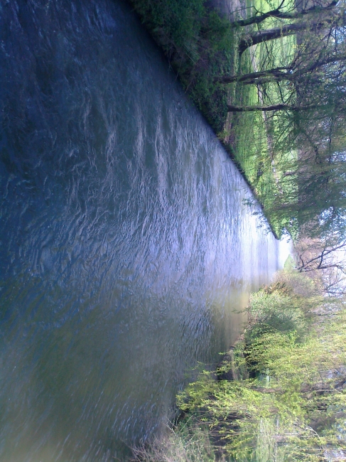 River, Englischer Garten