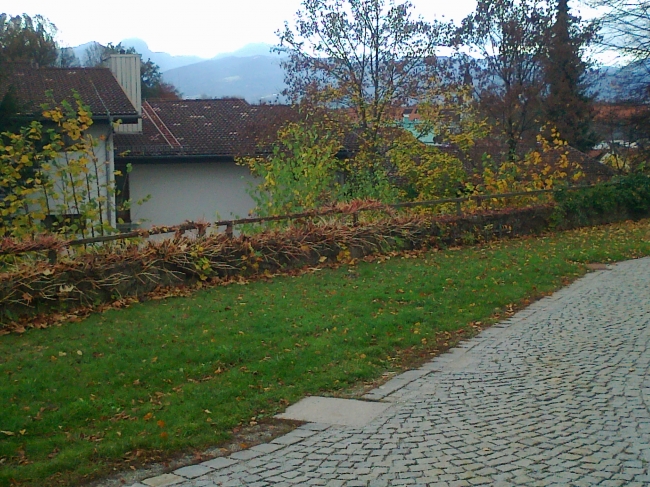 Bad Aibling alps, as seen from church hill