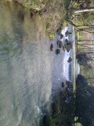 Pond, Rocks and Stream