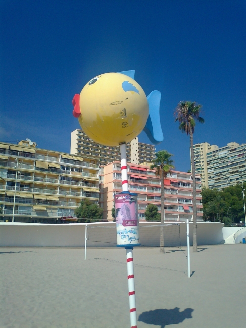 Yellow fish, on the beach