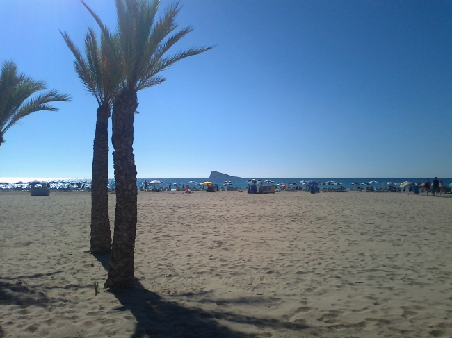 Isla de Benidorm, and some palms, actually Isla del Descubridor