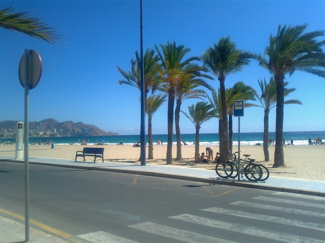 Beach, looking towards city center