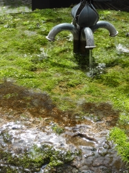 Brunnen in einem Hinte...